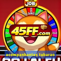 acompanhantes tubarao